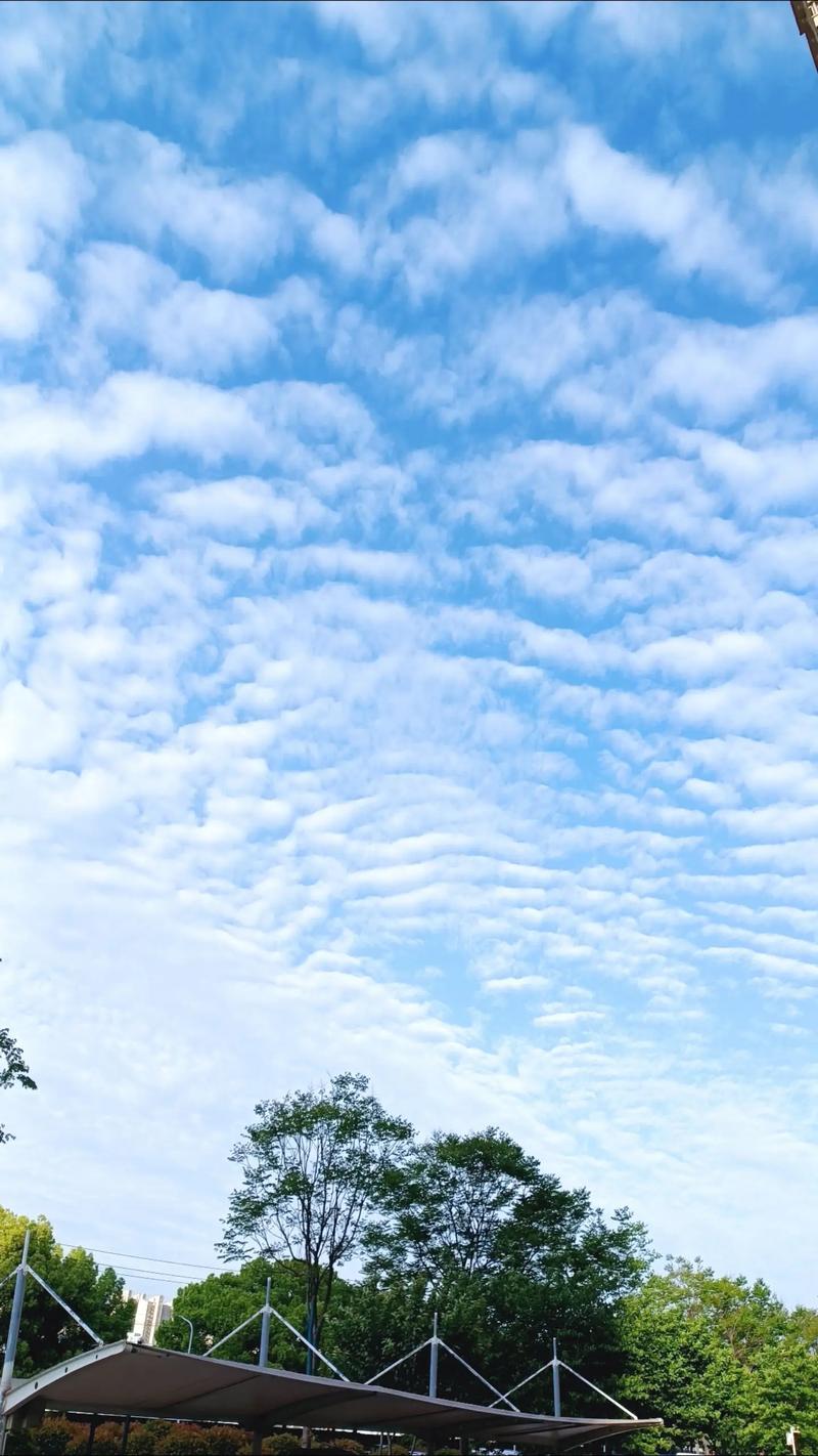 地震云是科学还是玄学(地震云的说法科学吗?)