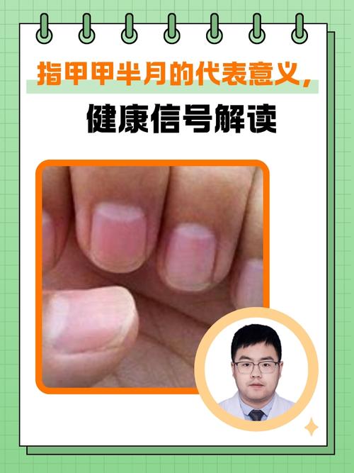 指甲生长速度与月相（指甲的增长速度一样么）